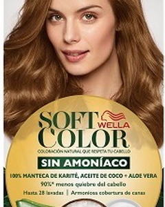 SOFT C 77 MARRON DORADO