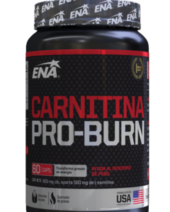 ENA CARNITINA 1500 X60CAP
