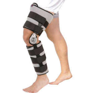 INMOV ESTAB MON BODY C GR