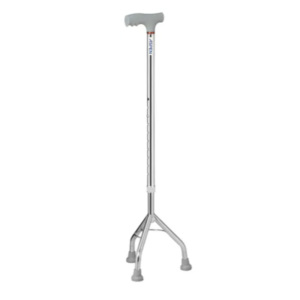 BAST TRIPOD ASP REG PLATA